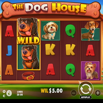 MrPacho - The Dog House Slot Game - Pragmatic Play Pokies